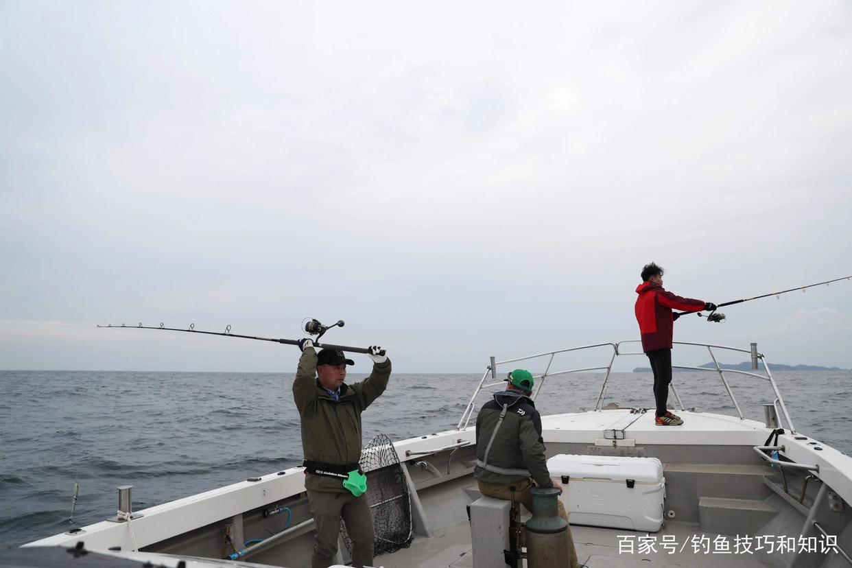 常用的釣魚方法有哪些？哪種釣法最好用？幾種主流常用釣法介紹