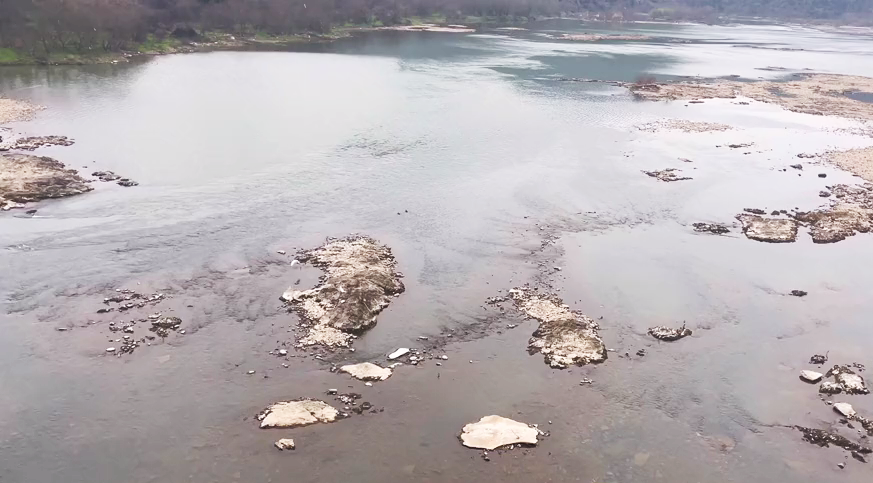 江西釣友在水庫下釣魚，遭遇大量“怪草魚”，竟是淡水之王？