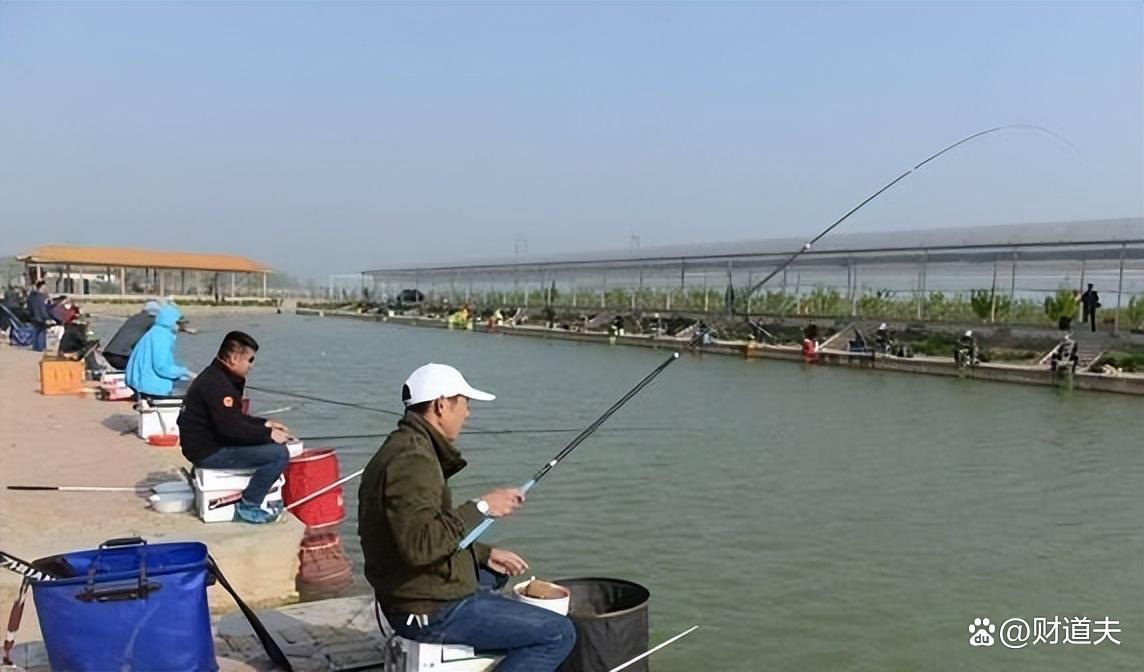 春季釣鯉魚：這些餌料最有效，讓你輕松收獲豐碩！