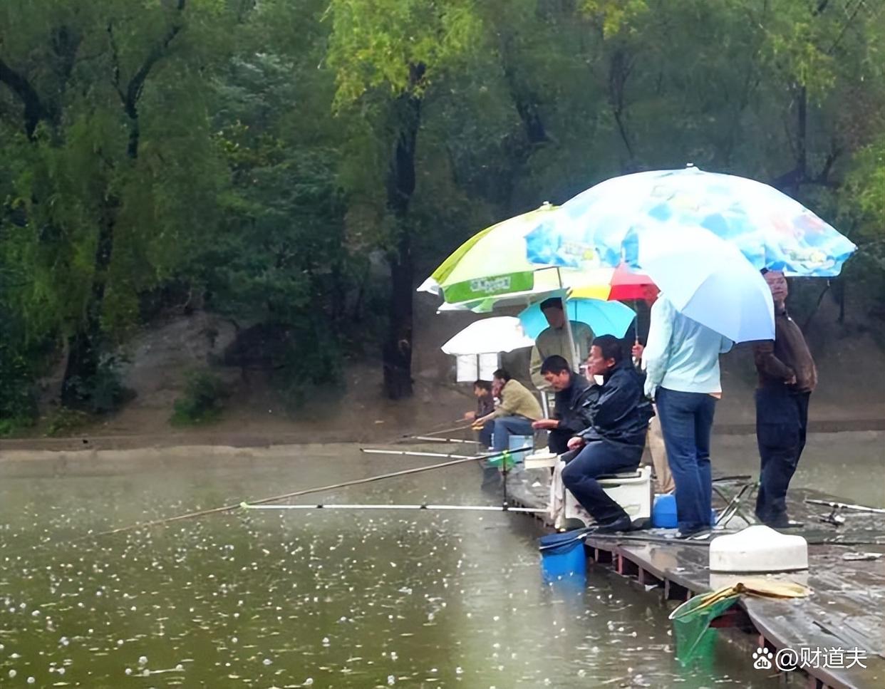 想在雨季順利釣魚？這些技巧必須掌握！