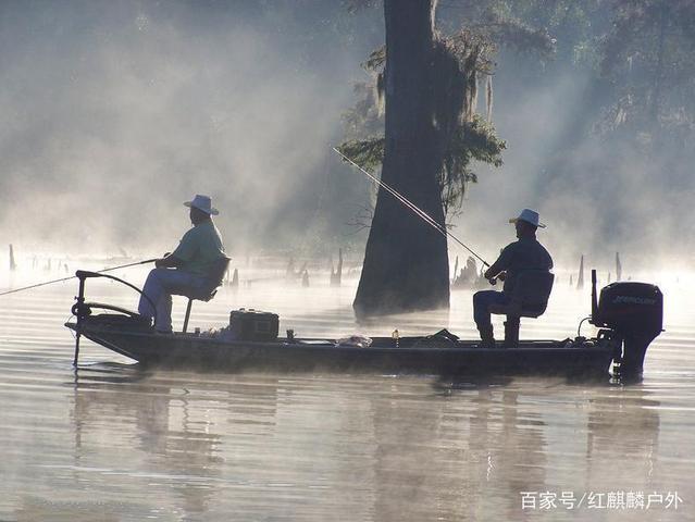 南方野塘釣黑魚，釣魚大師都知道的技巧方法