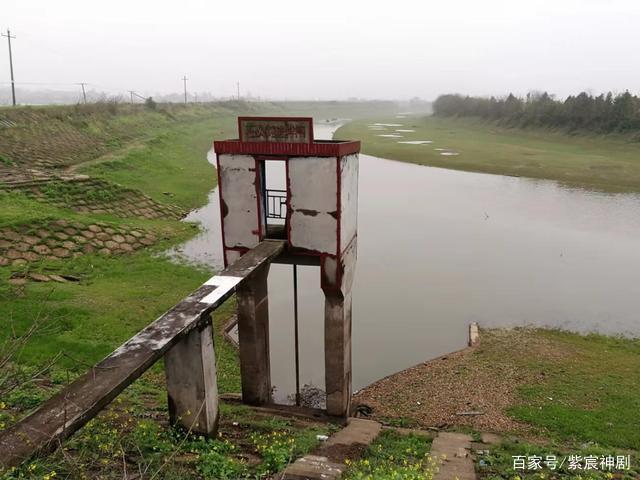 野釣青稍有哪些關鍵技巧？時間、釣點、餌料、釣法每一步都是細節