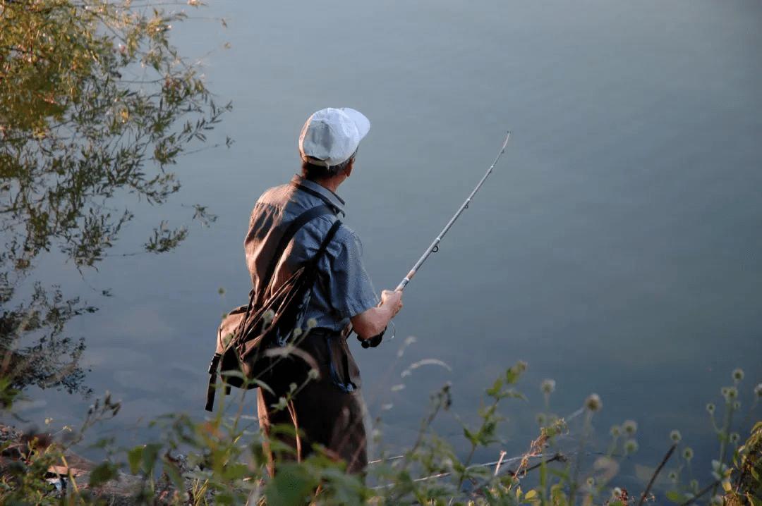 接別人窩子釣魚，為什么人家狂口我沒口？其實老釣位也不一定好