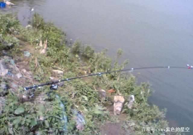 野外垂釣黑魚怎么辦，不要心慌，下面小技巧讓你嗨不停