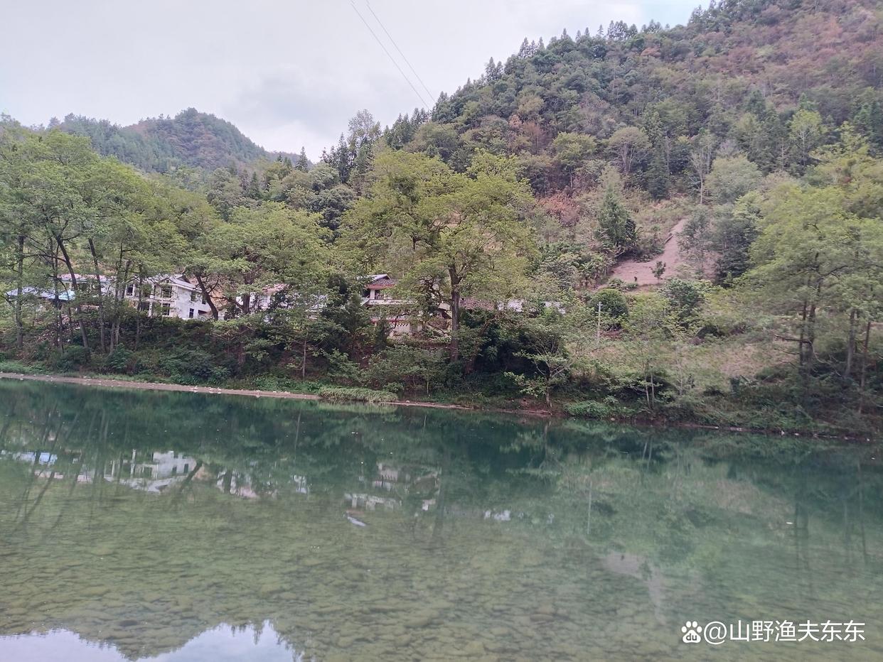 秋天野釣看似幾種沒有魚的釣點，卻是藏魚的地方，遇到不要錯過