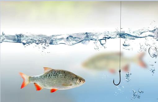 釣鯽魚時使用“截殺”釣法，其樂無窮，同時是增加漁獲的利器