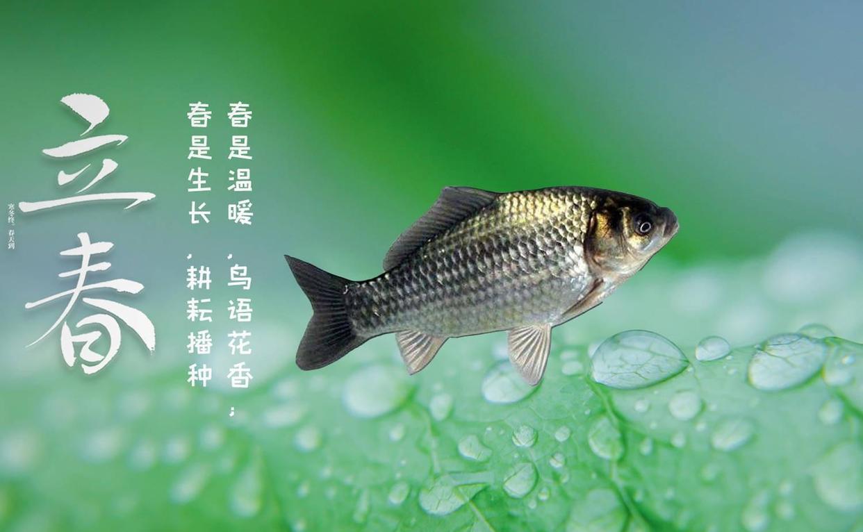 春季野釣也有規律，技巧跟著節氣走，不愁魚不上鉤