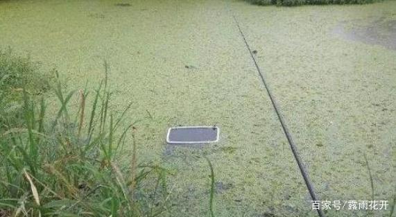 黑魚太兇猛不好釣？教你幾招，學會保證有收獲