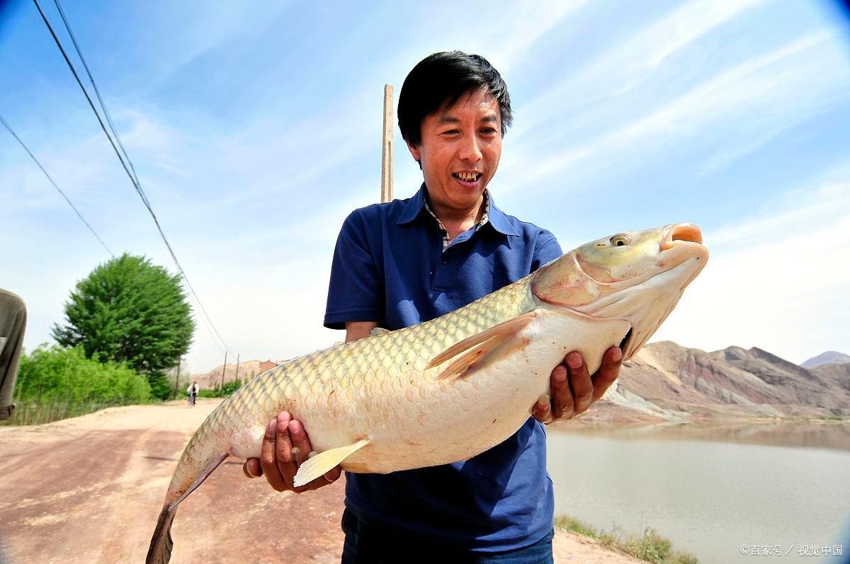 草魚釣浮釣底的技巧，魚情水情都是客觀因素