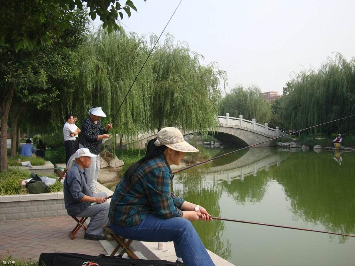 掌握這五大釣魚技巧，即使剛入門不久，你也能成為高手！