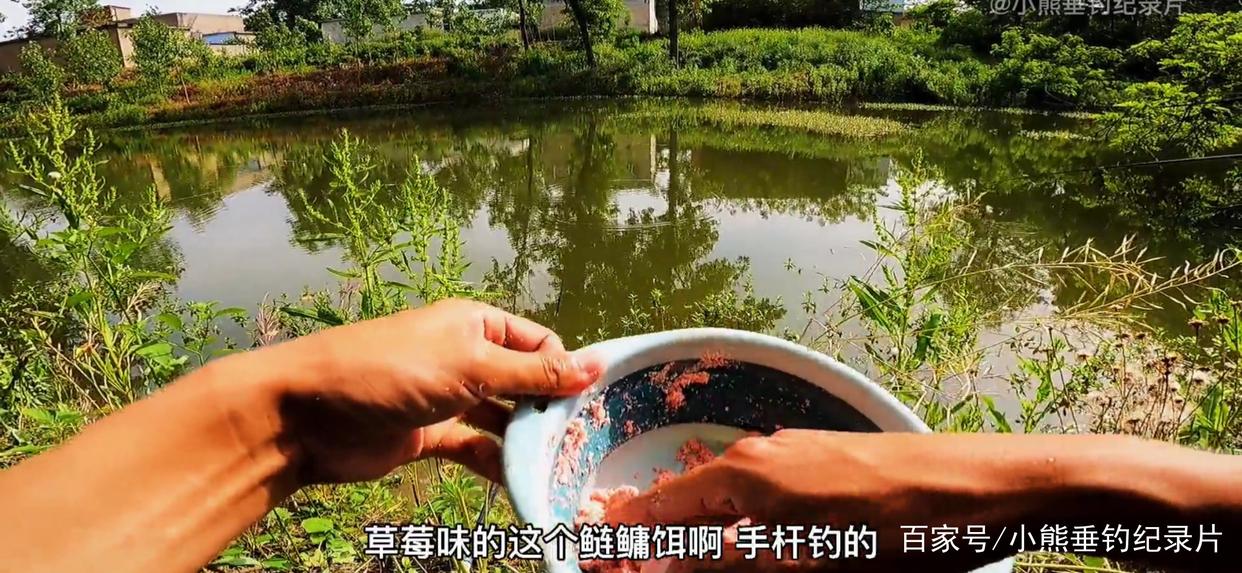 釣后感！鰱鳙應該怎么釣？僅僅野釣4次鰱鳙的快樂體驗與困惑