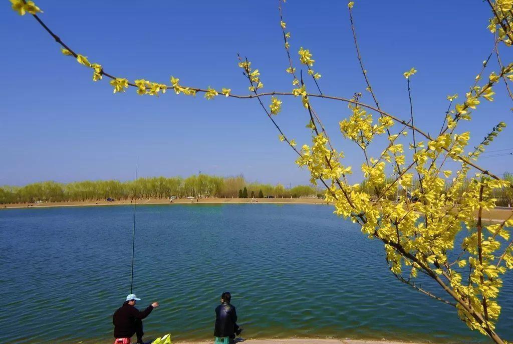 春天釣不到魚，怪我沒有早給你說這些原因和技巧
