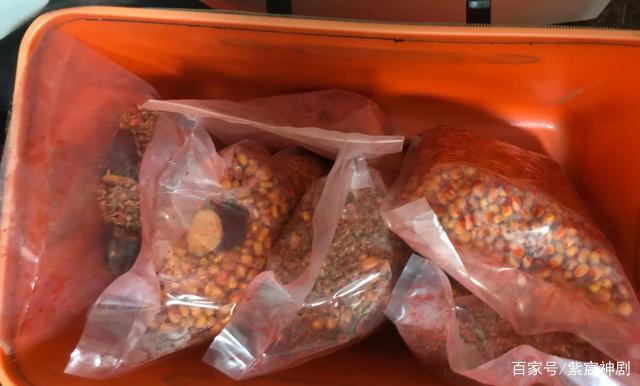 野外鯉魚沒有想象中那么難釣，掌握這5個技巧，新手一樣釣得多