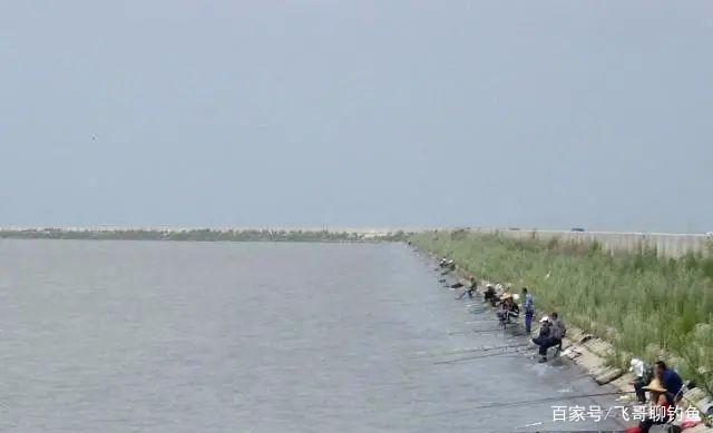 夏季太適合釣黑魚，6個技巧讓你輕松上魚