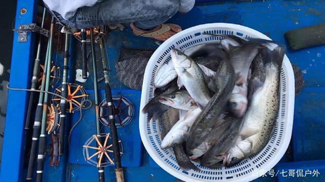 海釣路亞海鱸魚技巧，享受水上高爾夫的樂趣！