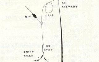 釣鯽魚時應該注意及實用的四點技巧，六年的釣鯽經驗