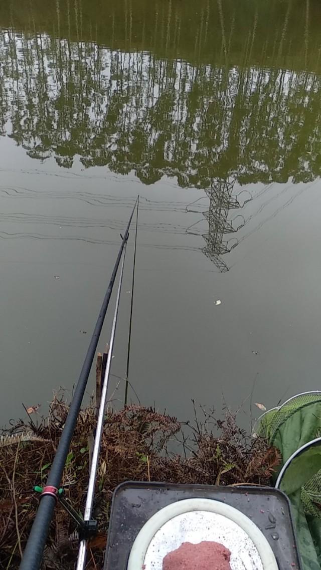 春季手竿釣鯉魚，核心技巧有3個，熟練掌握，釣鯉魚不是難事