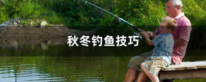 秋冬釣魚技巧……