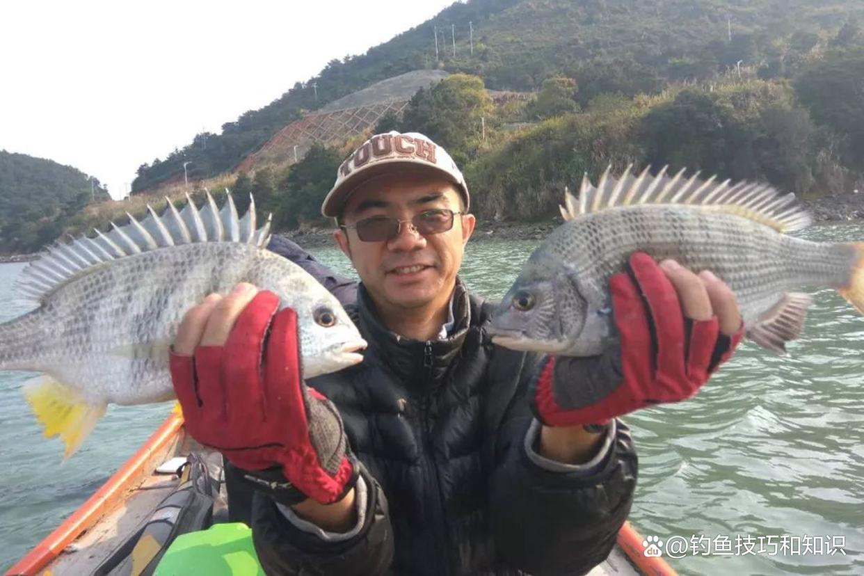 夏季怎樣釣黑鯛？釣位、線組、魚餌和釣法，夏季釣黑鯛的有效技巧