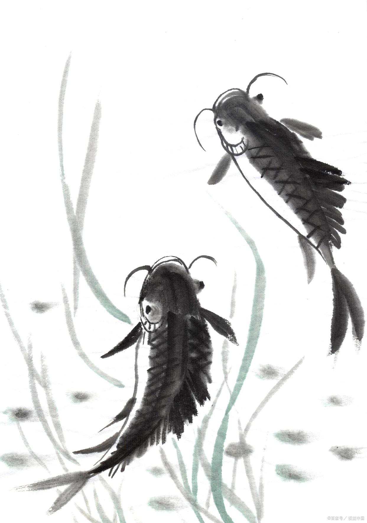 釣魚野釣新手該怎么入坑