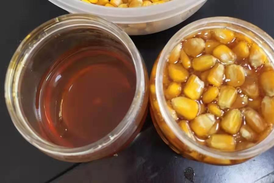草魚獨特新釣法，很多人都沒試過，上魚太快，釣一次忘不了