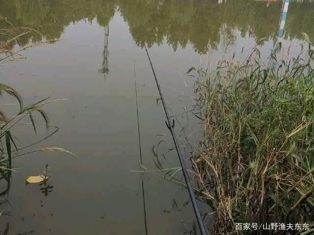 手竿垂釣黑魚三種方法，值得收藏，從此不會空手而歸