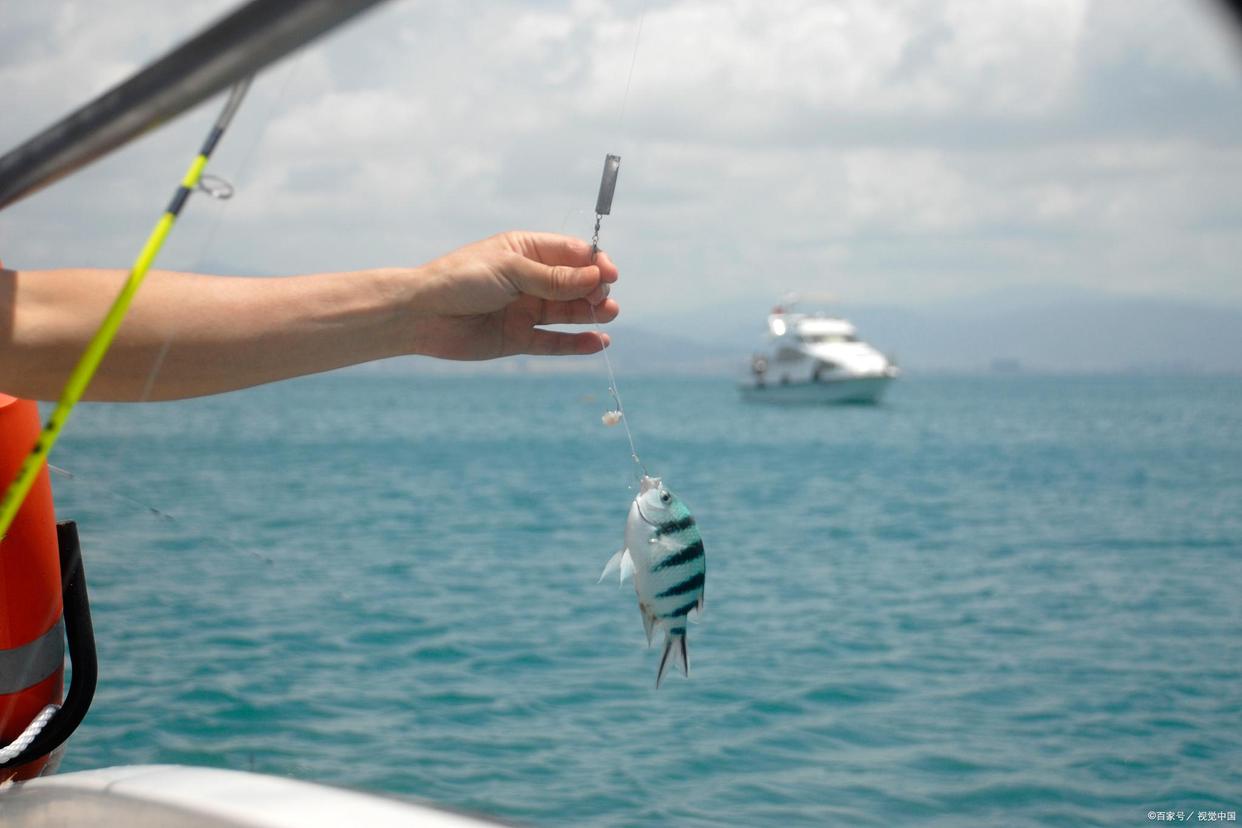 黃驊港哪里可以海釣/海釣之海上垂釣常識