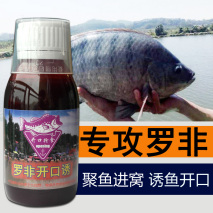 黑坑釣羅非用什么小藥？釣羅非魚推薦什么小藥？