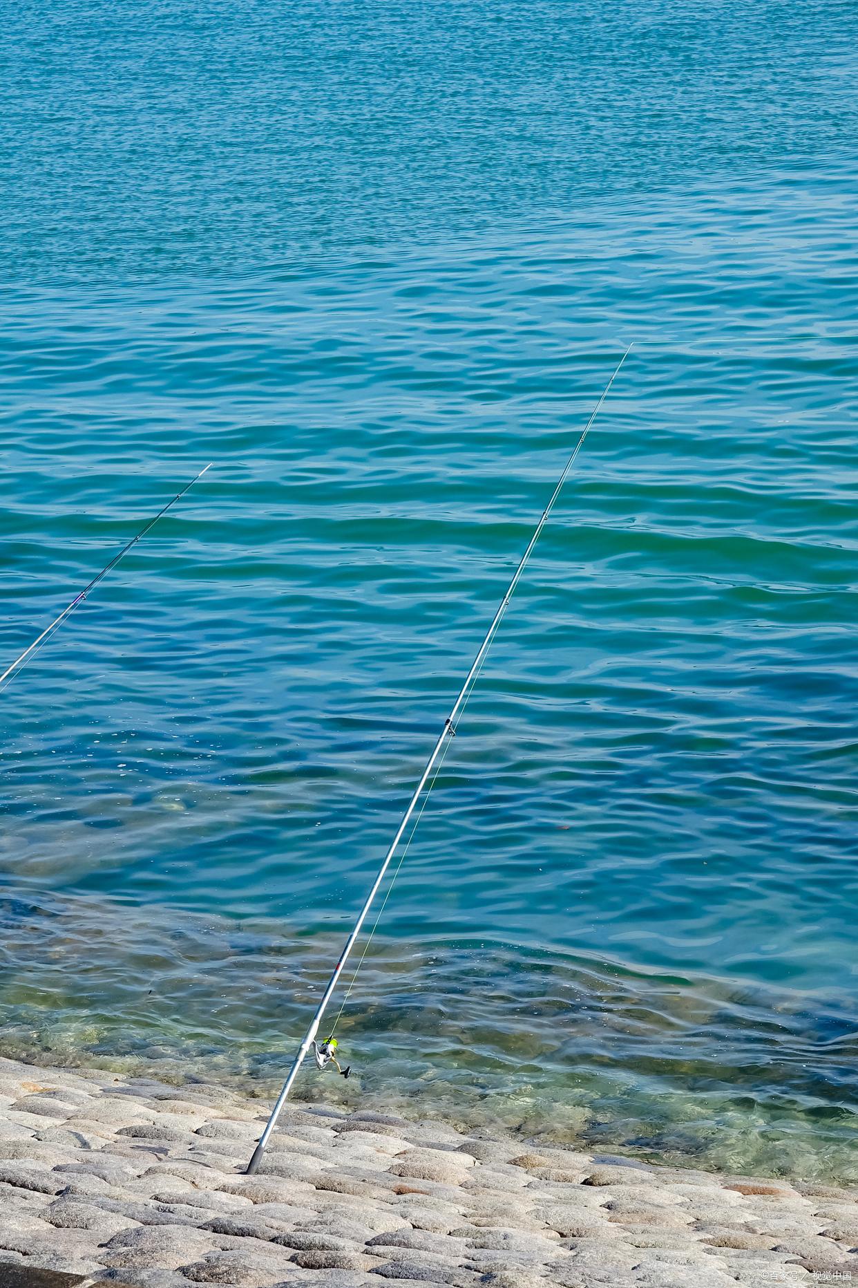 釣魚初學者基本教學
