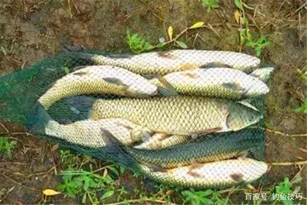 路亞竿子帶漂遠投，簡單實用，“快釣快收”，釣魚老手都懂得！