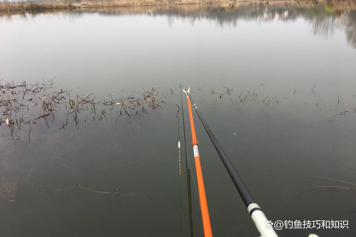 春天釣魚的小秘訣，好用的長短竿釣法，黑坑和野釣都好用