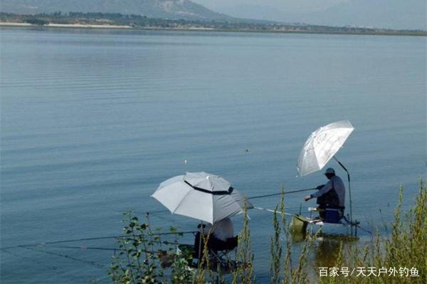 夏季釣青魚，用這幾招就對了