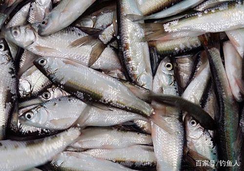 四個成功有效避開小雜魚的方法，夏釣的高手都這么用，學了不吃虧