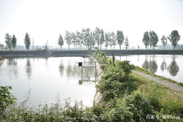 南陽地區釣魚釣點分享，黑坑野釣都有，今天第一個地方先從庫存來