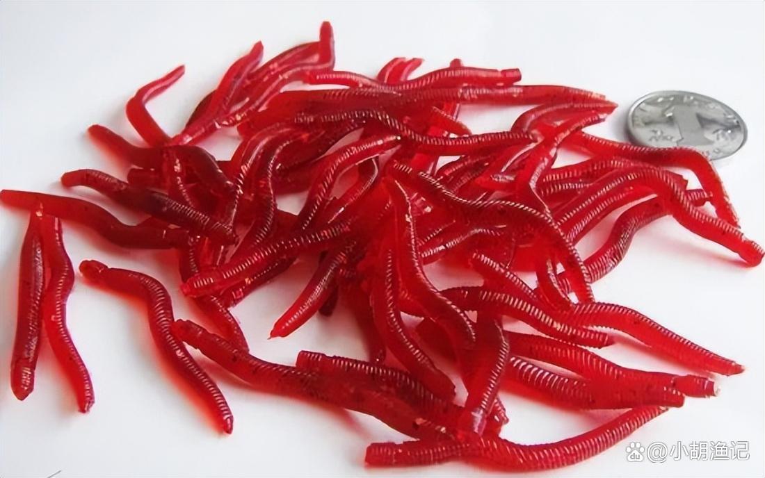 紅蟲釣魚對人有害？不要再盲目聽信了，以至于錯過了最好的餌料！