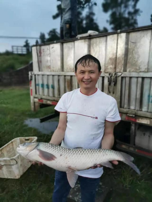 昆明周邊休閑垂釣攻略，10個水庫釣點收藏好，夠你慢慢釣一年