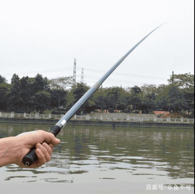 釣魚知識科普：認識手竿、筏竿、磯竿、海竿和路亞竿