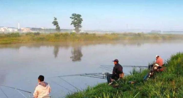 新手釣鰱魚攻略：這5點“技巧”一定要牢記！教你快速出魚