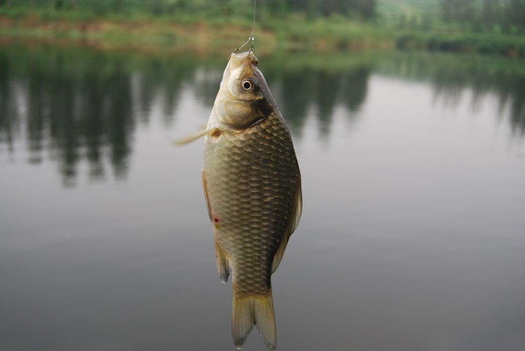 釣魚時釣點選擇很關鍵，3個原則值得遵循，選對了漁獲自然不會差