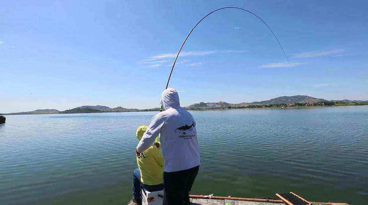 大青魚很難釣？學會這套“秘訣”，狂拔連竿真的一點都不難