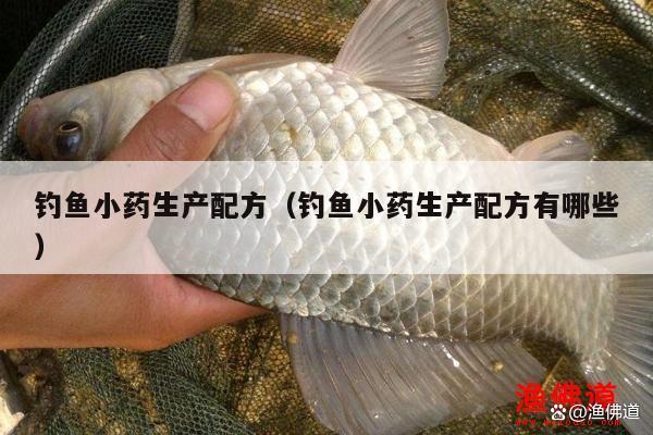 釣魚小藥生產配方（釣魚小藥生產配方有哪些）