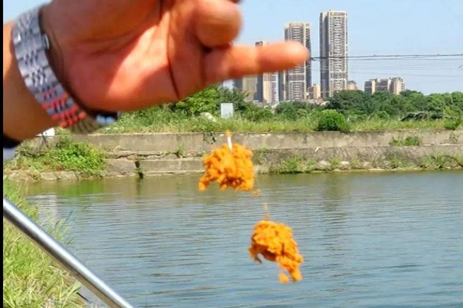 春天不要只釣鯽魚，試試這鰱鳙釣法，中魚率高，每次釣完都很過癮