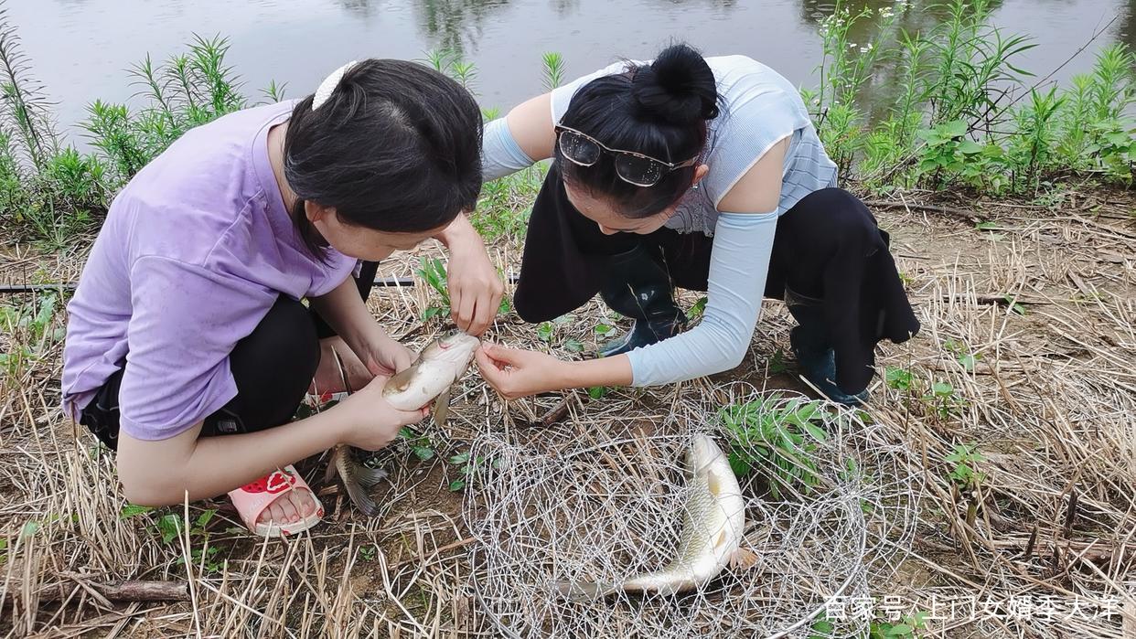 夏季是垂釣草魚的黃金季節，那么我們該如何去釣呢？