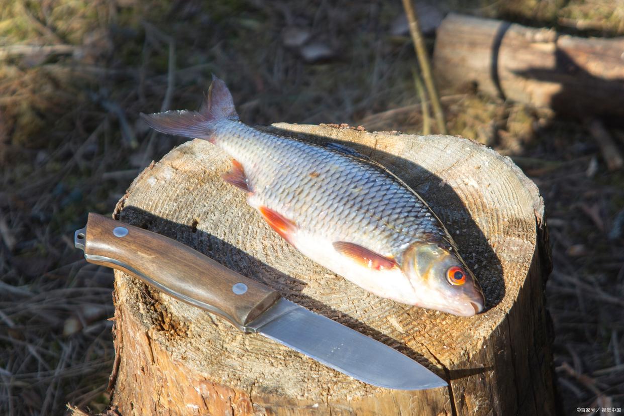 「天津釣魚攻略」數十條好魚等你來釣，天津十大釣魚地點全解析！