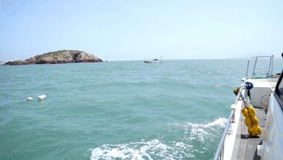 打造國際海釣基地！就在舟山這個島！