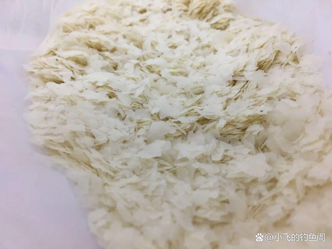 釣鰱鳙忘記帶餌料怎么辦？別急，教你巧用2種狀態餌自制鰱鳙餌