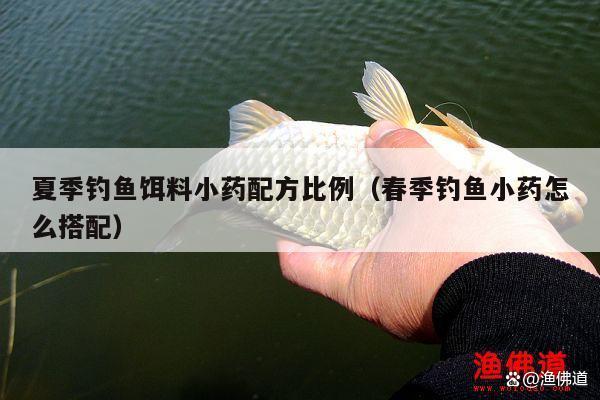 夏季釣魚餌料小藥配方比例（春季釣魚小藥怎么搭配）
