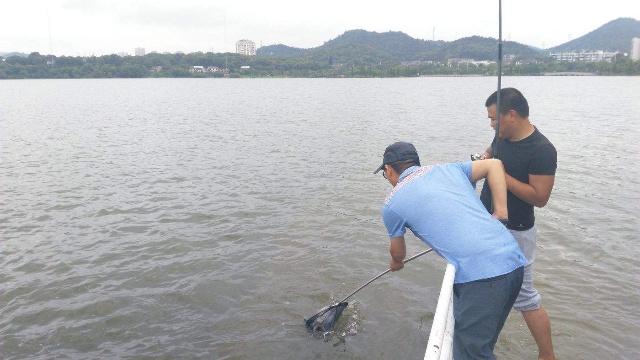 別眨眼，這15款餌料配方適合全水域釣鯉魚，釣友：趕快抄下來！
