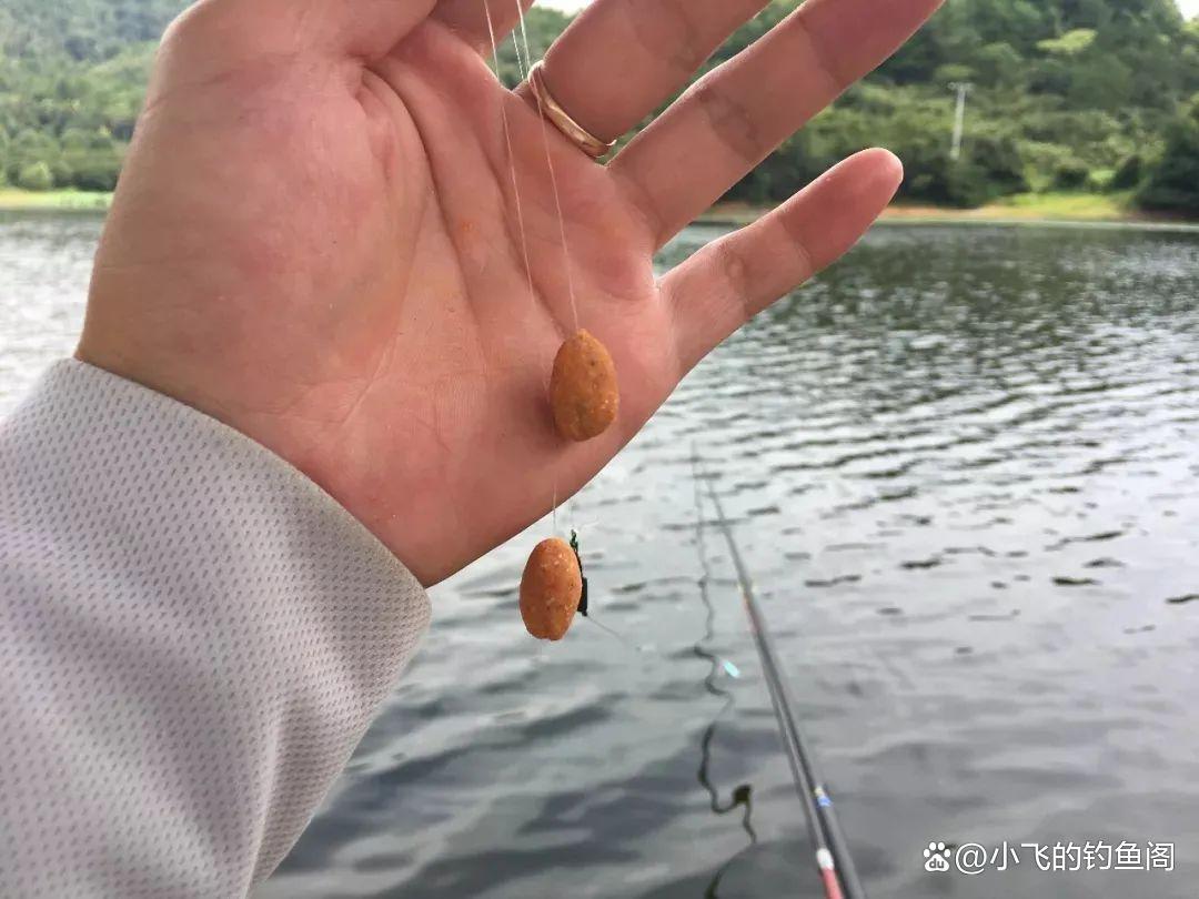 野釣防小雜魚最管用的幾種方法，新手必備技能，建議收藏