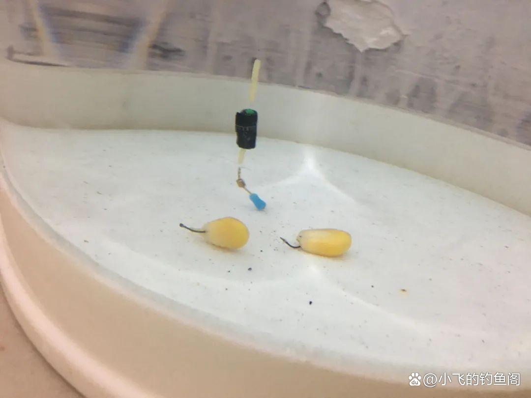 釣鯉魚只學這2種調漂方法，不談靈鈍，能上魚才是王道！